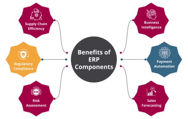 Benefits of ERP Components